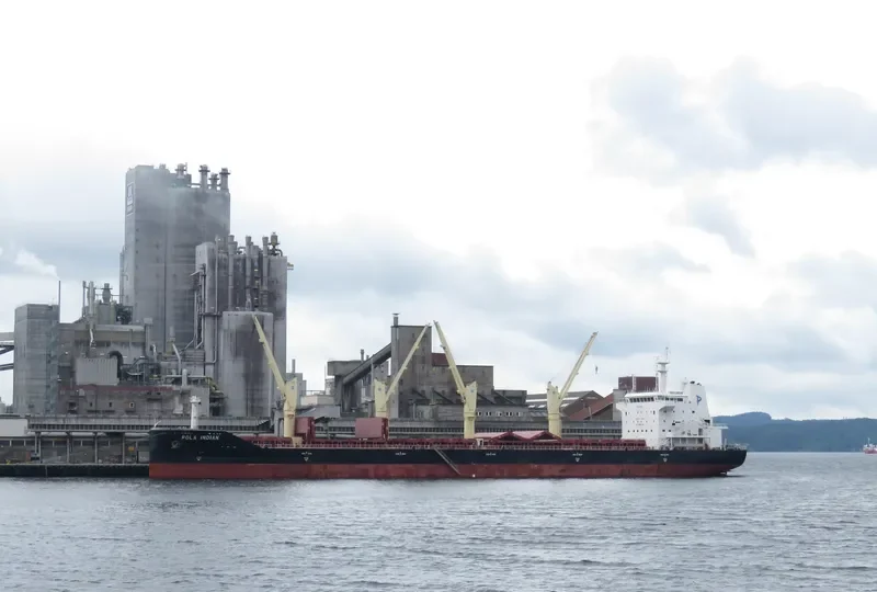 POLA INDIAN Bulk Carrier IMO 9659787