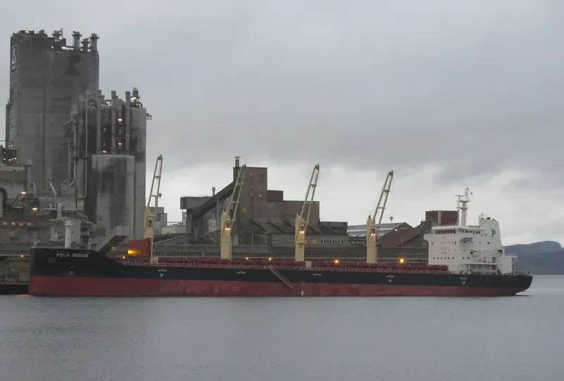 POLA INDIAN Bulk Carrier IMO 9659787 photo 3