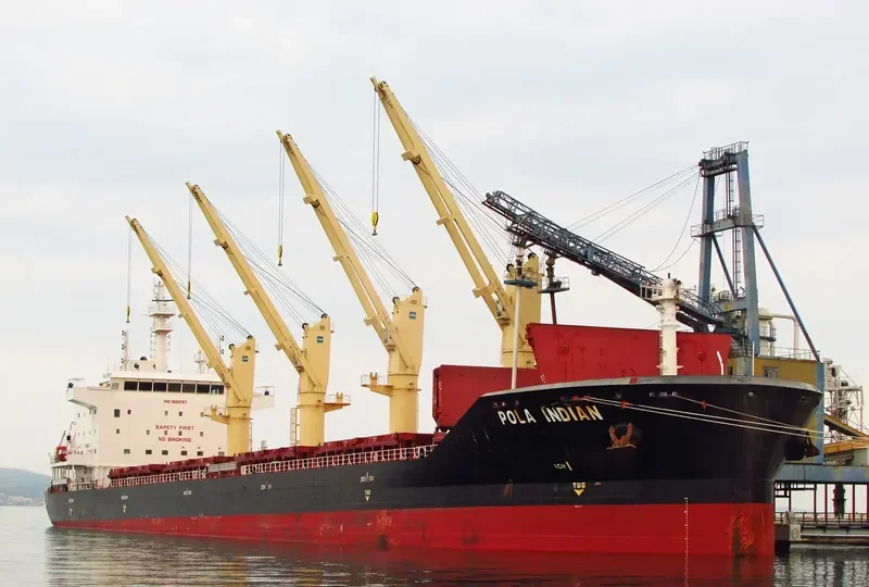 POLA INDIAN Bulk Carrier IMO 9659787 photo 5
