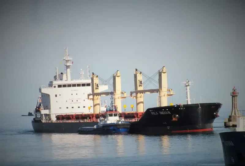 POLA INDIAN Bulk Carrier IMO 9659787 photo 6