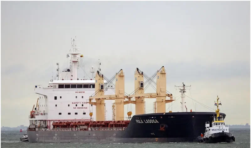WL LADOGA Bulk Carrier IMO 9659799