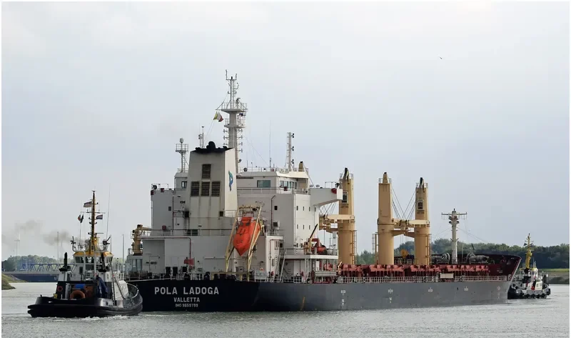 WL LADOGA Bulk Carrier IMO 9659799 photo 2