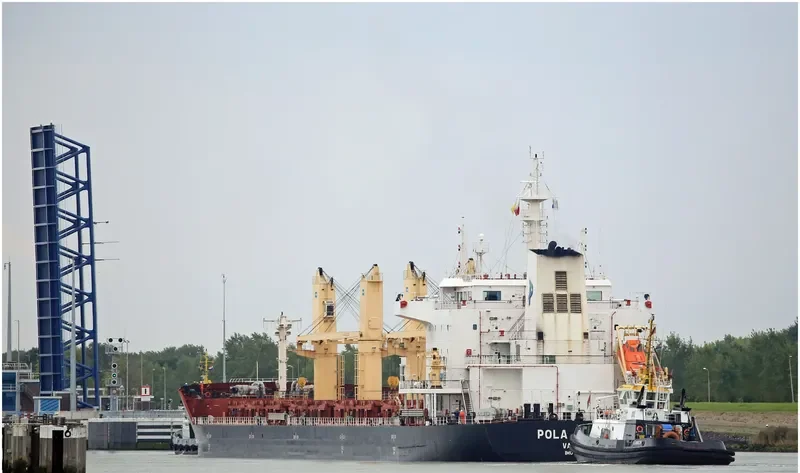 WL LADOGA Bulk Carrier IMO 9659799 photo 3