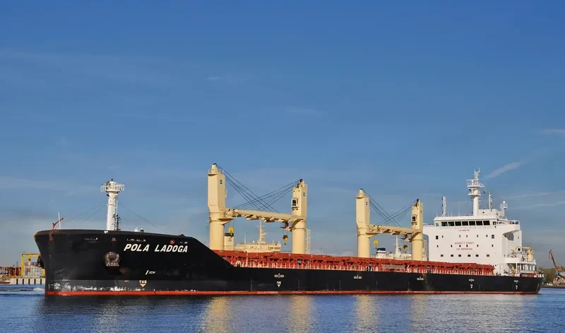 WL LADOGA Bulk Carrier IMO 9659799 photo 4