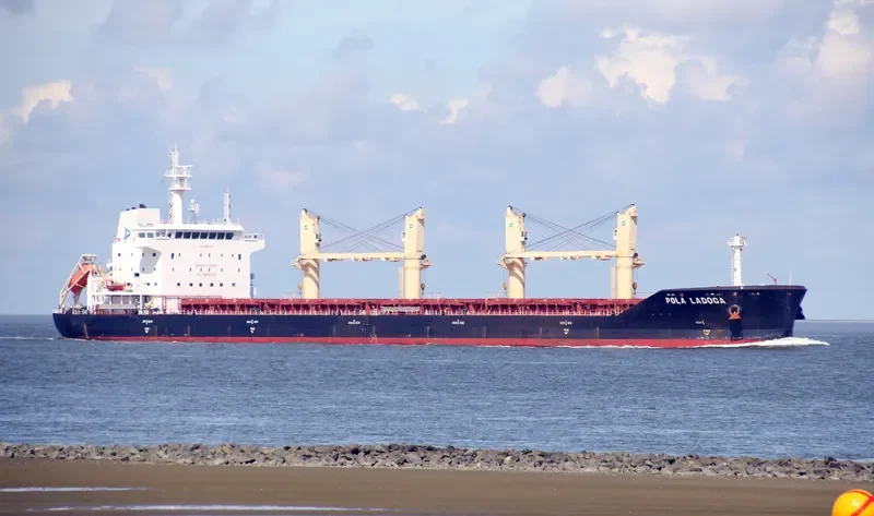 WL LADOGA Bulk Carrier IMO 9659799 photo 5