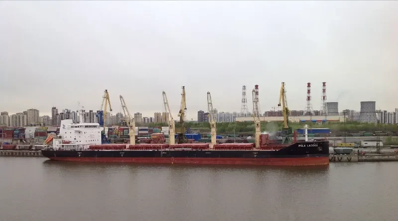 WL LADOGA Bulk Carrier IMO 9659799 photo 6