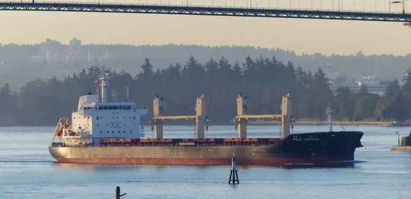 WL LADOGA Bulk Carrier IMO 9659799 photo 7