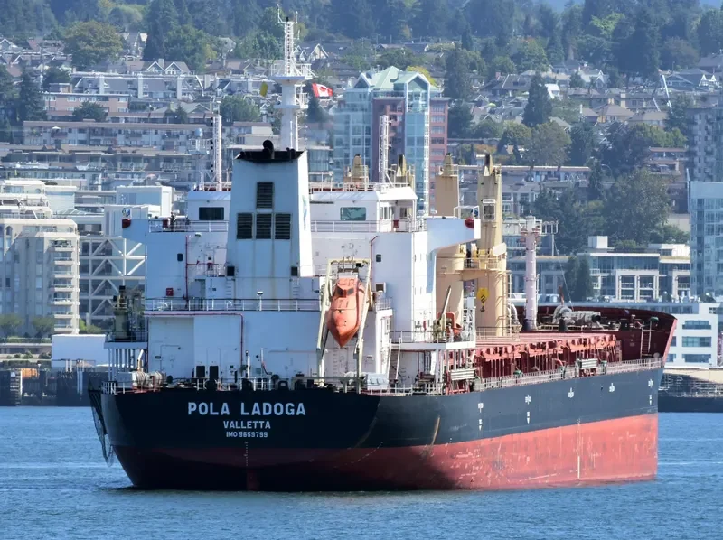 WL LADOGA Bulk Carrier IMO 9659799 photo 8