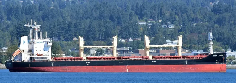 WL LADOGA Bulk Carrier IMO 9659799 photo 9