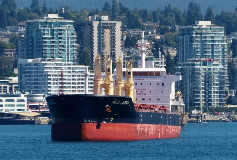 WL LADOGA Bulk Carrier IMO 9659799 photo 10