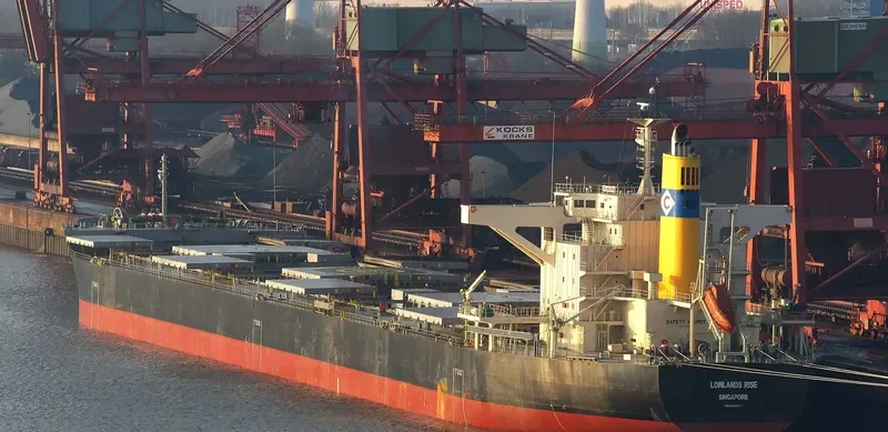 LOWLANDS RISE Bulk Carrier IMO 9659828