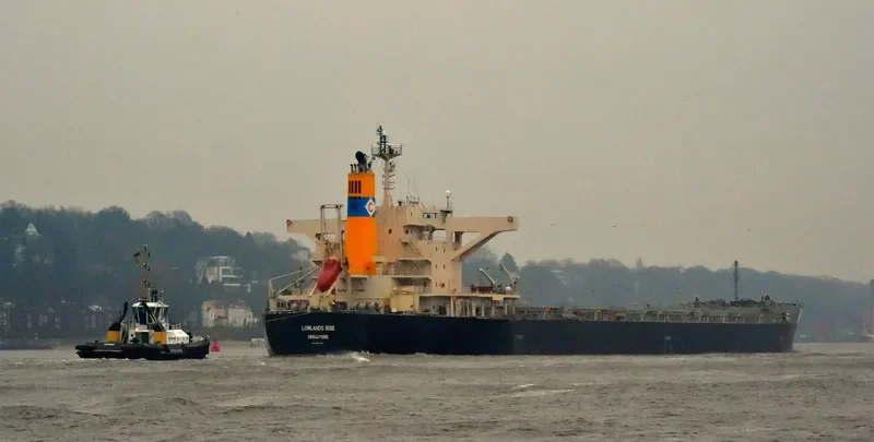 LOWLANDS RISE Bulk Carrier IMO 9659828 photo 2