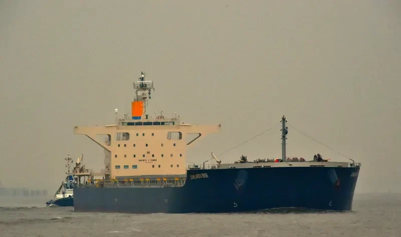 LOWLANDS RISE Bulk Carrier IMO 9659828 photo 3