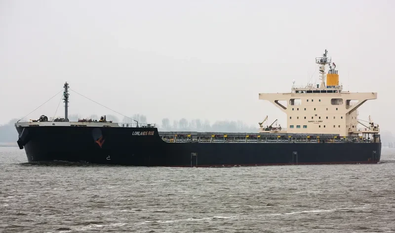 LOWLANDS RISE Bulk Carrier IMO 9659828 photo 5