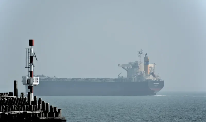 LOWLANDS RISE Bulk Carrier IMO 9659828 photo 6
