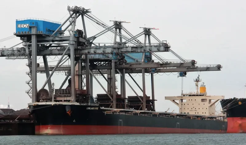 LOWLANDS RISE Bulk Carrier IMO 9659828 photo 7