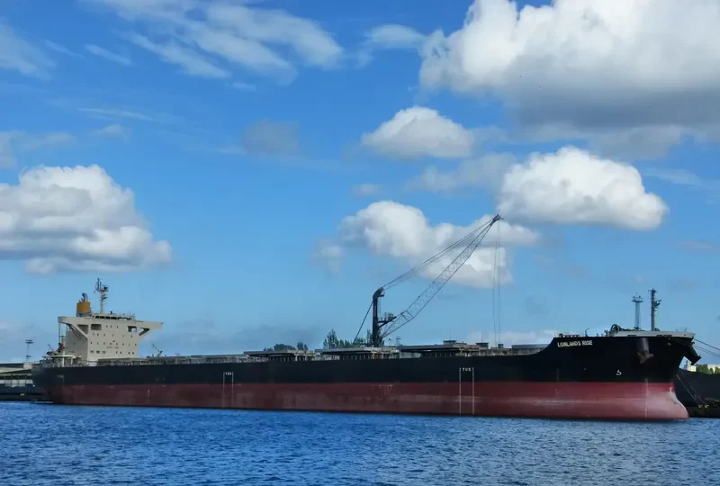 LOWLANDS RISE Bulk Carrier IMO 9659828 photo 9