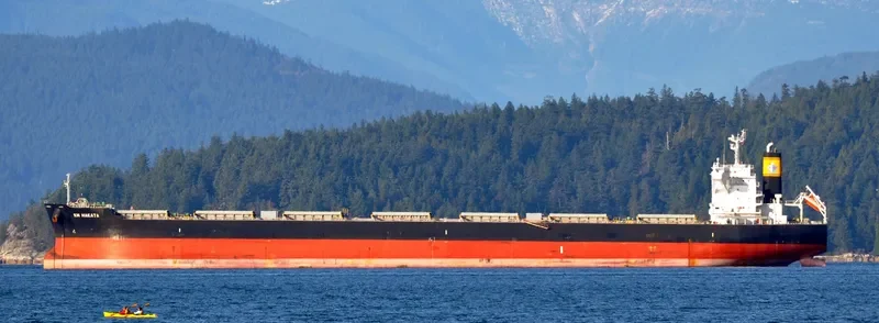 KM HAKATA Bulk Carrier IMO 9659830