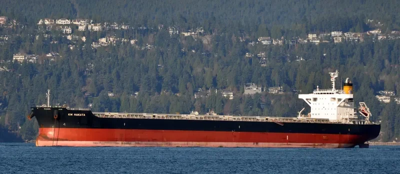 KM HAKATA Bulk Carrier IMO 9659830 photo 2