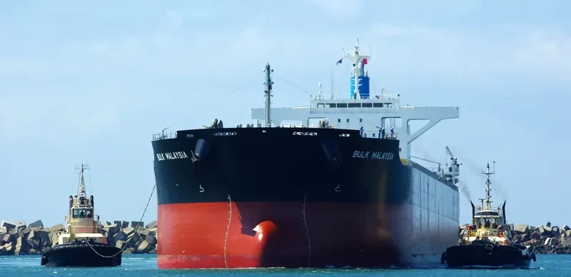 BULK MALAYSIA Bulk Carrier IMO 9659842 photo 2