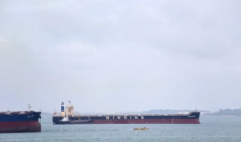 WINNING MISSION Bulk Carrier IMO 9659854 photo 2