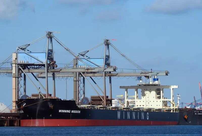 WINNING MISSION Bulk Carrier IMO 9659854 photo 3