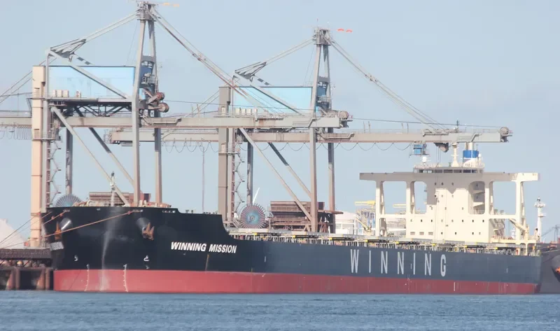 WINNING MISSION Bulk Carrier IMO 9659854 photo 4