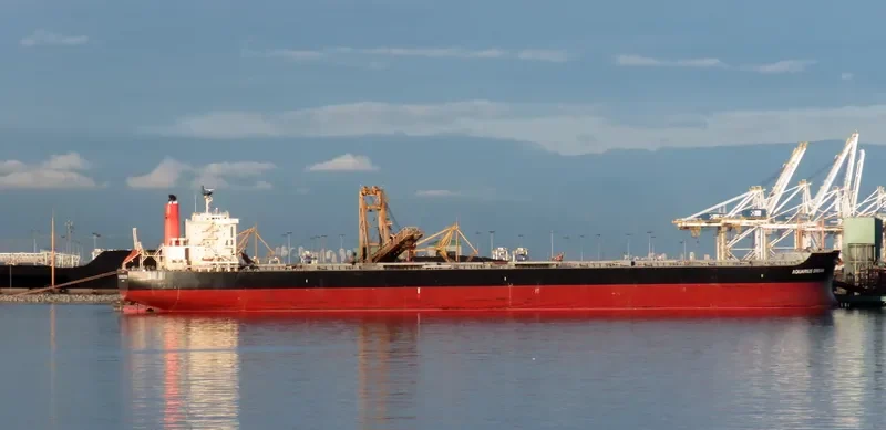 WINNING NATURE Bulk Carrier IMO 9659866