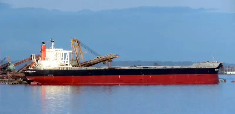 WINNING NATURE Bulk Carrier IMO 9659866 photo 2