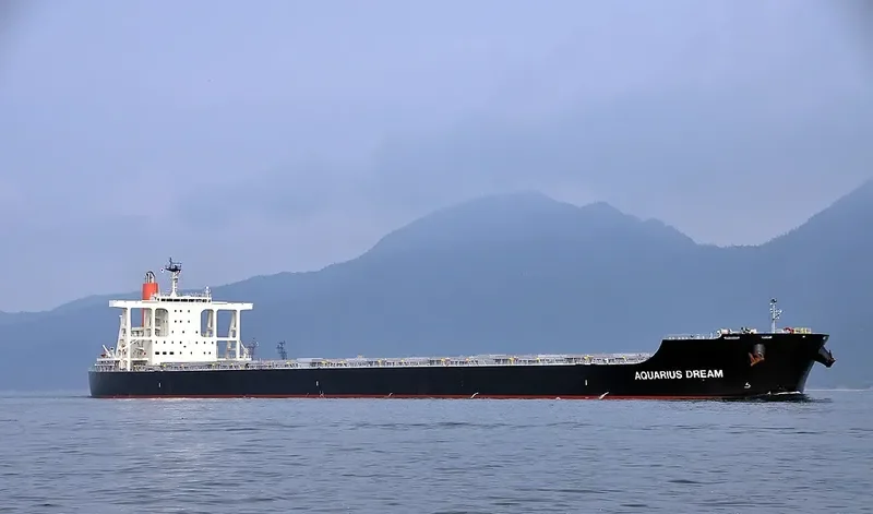 WINNING NATURE Bulk Carrier IMO 9659866 photo 3