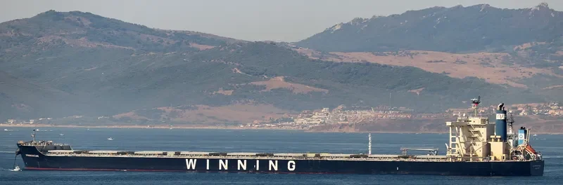 WINNING NATURE Bulk Carrier IMO 9659866 photo 4