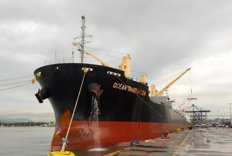 OCEAN INNOVATION Bulk Carrier IMO 9659892 photo 2