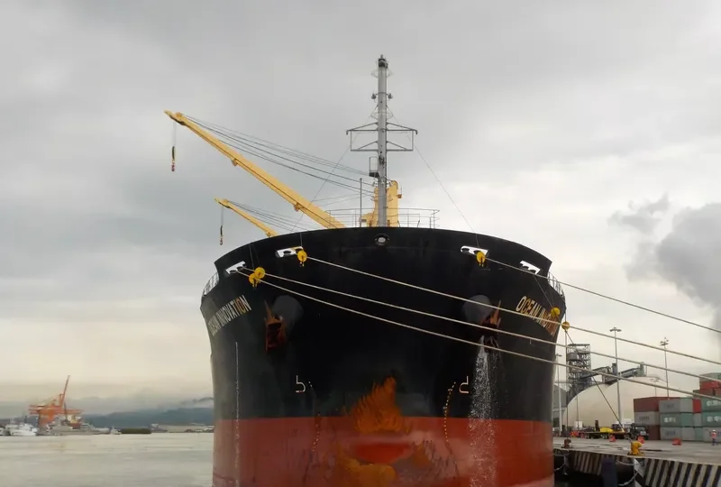 OCEAN INNOVATION Bulk Carrier IMO 9659892 photo 3