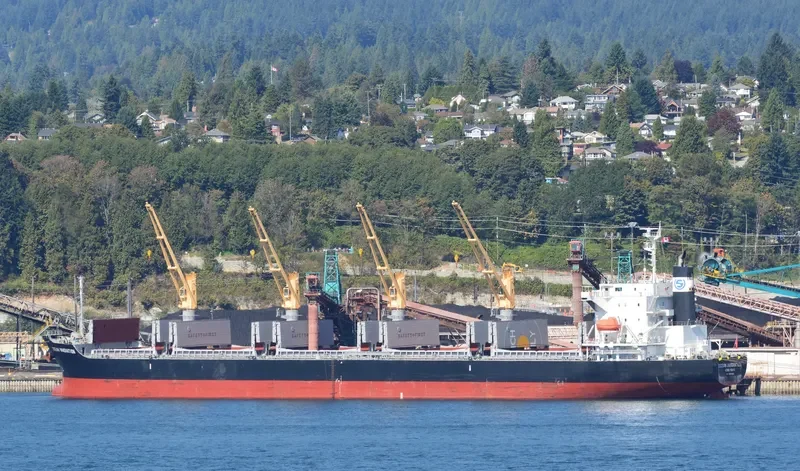 OCEAN INNOVATION Bulk Carrier IMO 9659892 photo 5
