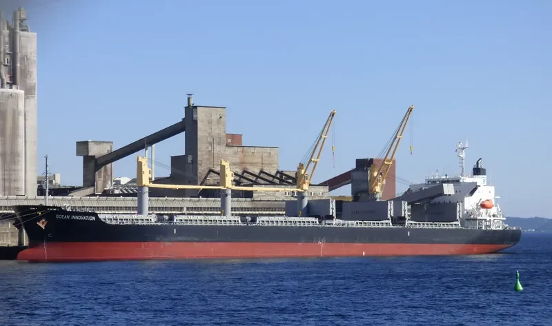 OCEAN INNOVATION Bulk Carrier IMO 9659892 photo 6