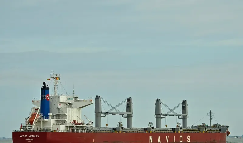 BULK COURAGEOUS Bulk Carrier IMO 9659919 photo 2