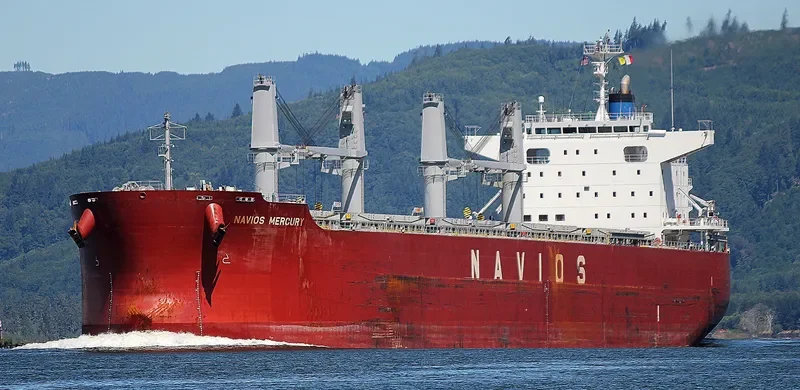 BULK COURAGEOUS Bulk Carrier IMO 9659919 photo 4