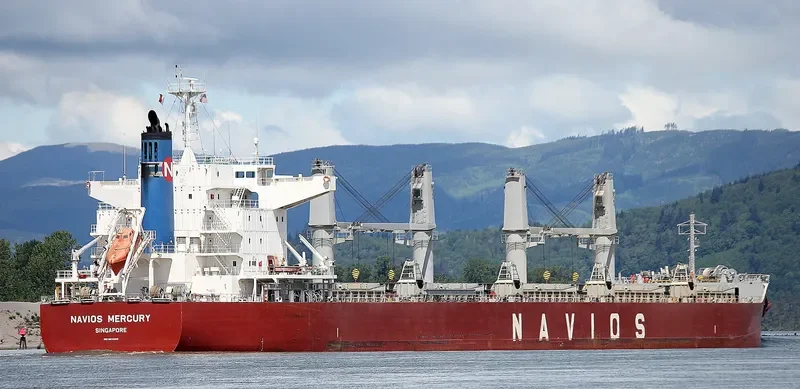 BULK COURAGEOUS Bulk Carrier IMO 9659919 photo 5