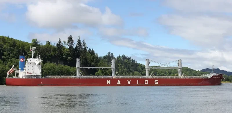 BULK COURAGEOUS Bulk Carrier IMO 9659919 photo 6