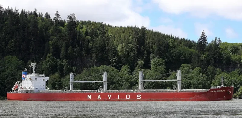 BULK COURAGEOUS Bulk Carrier IMO 9659919 photo 7