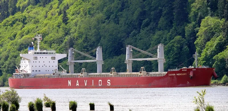 BULK COURAGEOUS Bulk Carrier IMO 9659919 photo 8