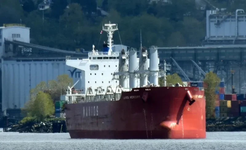 BULK COURAGEOUS Bulk Carrier IMO 9659919 photo 9