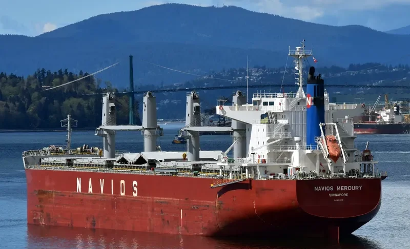 BULK COURAGEOUS Bulk Carrier IMO 9659919 photo 10