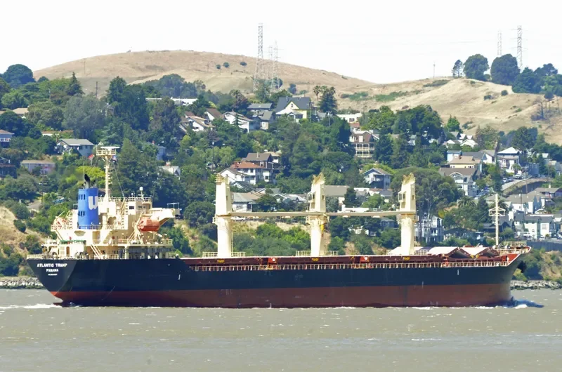 ATLANTIC TRAMP Bulk Carrier IMO 9659921 photo 6