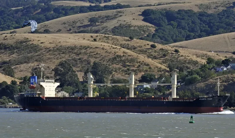ATLANTIC TRAMP Bulk Carrier IMO 9659921 photo 8