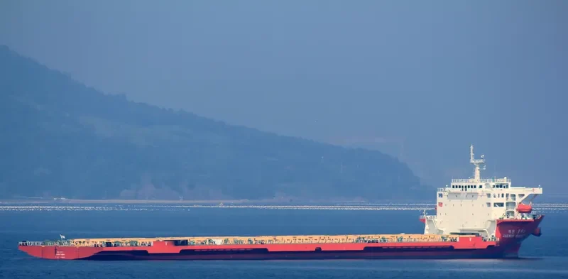 DONGBANG GIANT NO.8 General Cargo IMO 9659957 photo 4