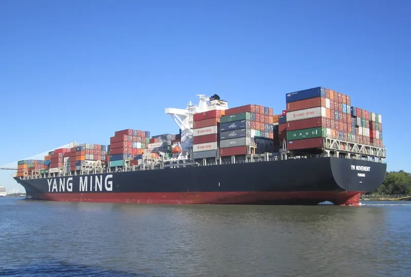 YM MOVEMENT Container Ship IMO 9660011 photo 2