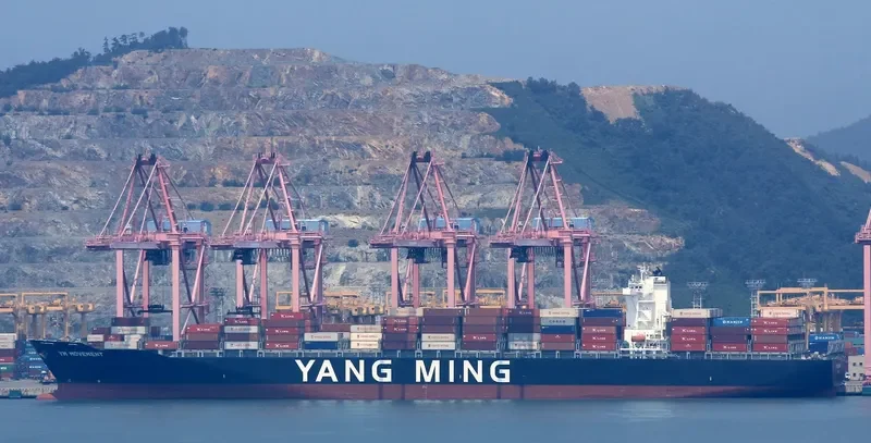 YM MOVEMENT Container Ship IMO 9660011 photo 4