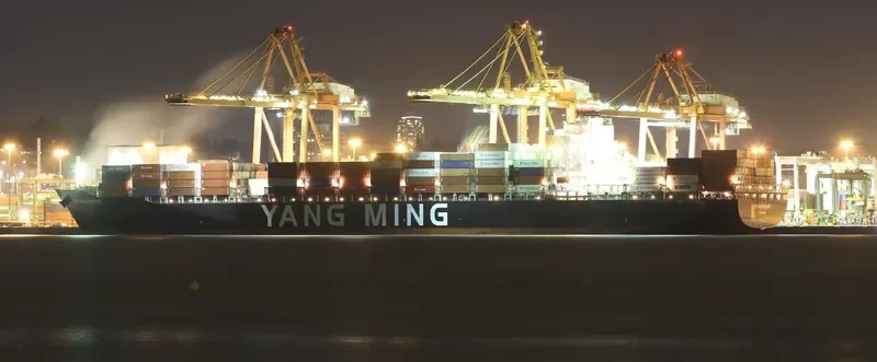 YM MOVEMENT Container Ship IMO 9660011 photo 6