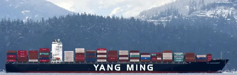 YM MOVEMENT Container Ship IMO 9660011 photo 8